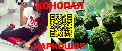 бошки Кумертау