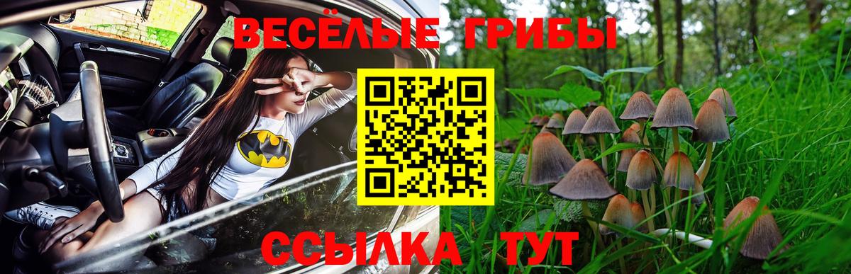 Псилоцибиновые грибы Cubensis Камышлов